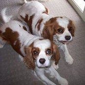 Rita Morello's photo