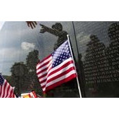 Stephen Vining's photo