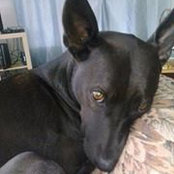 Mallory Larkin's photo