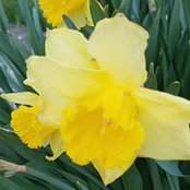 Alexandra Owens's photo