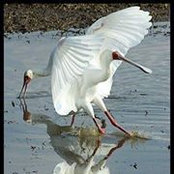 Foto von Hennie Venter