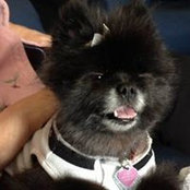 Debbie Kocis's photo