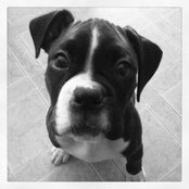 Foto de atambrose
