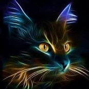 Foto de Nancy Rife
