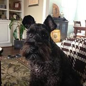 Bethany DalCerro's photo