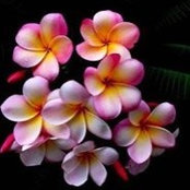 Lilly Rivera's photo