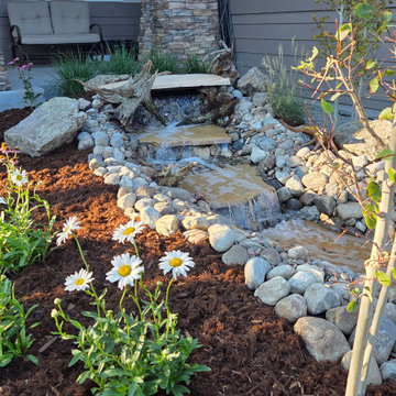 Front Yards