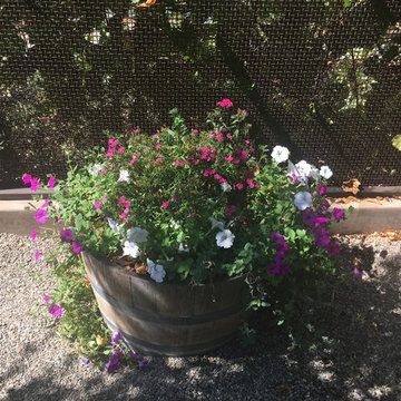 Organic Edible Gardens