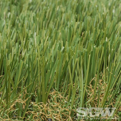 Diamond Supreme Fescue - Products