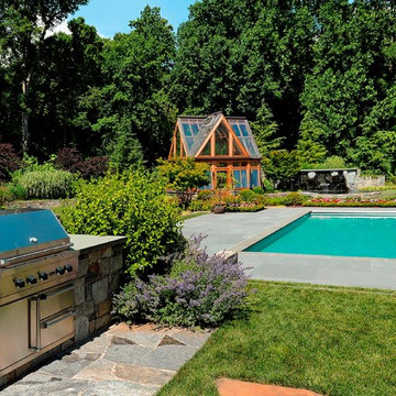 Vibrant Surroundings