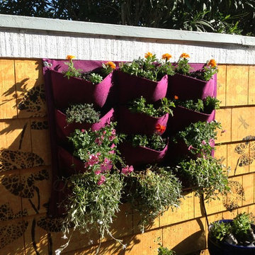 Garden Design