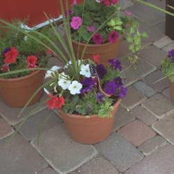Garden Center 2014 - Products