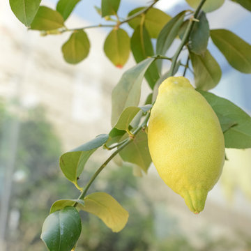 Aménagement de terrasse - Le Castellet