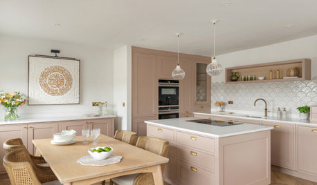 What Influences a Client’s Choices When Renovating a Kitchen?
