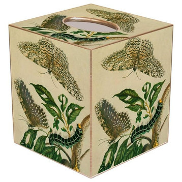 TB404 - Butterflies & Caterpillar Tissue Box Cover