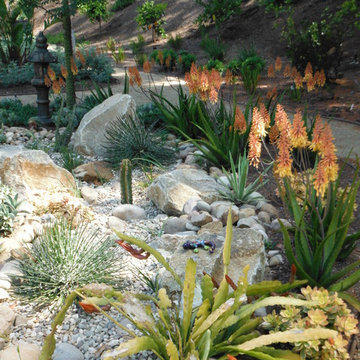 Rancho San Diego Mediterranean Garden