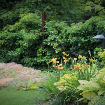 Hausgarten | von Amseln