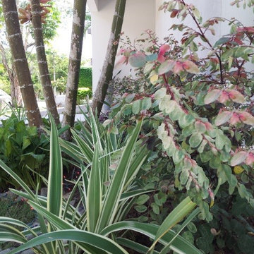 MY BUDDHA GARDEN, a place to myself, a beautiful spiritual site!