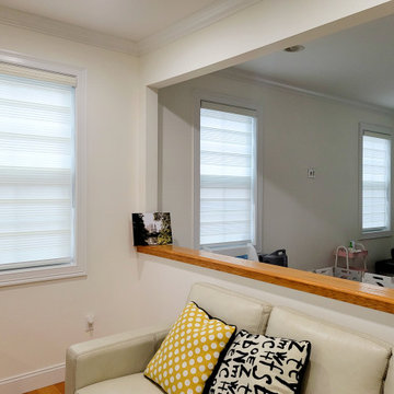 Springblinds Zebra Premium Pleated Light Filtering Shades House Project
