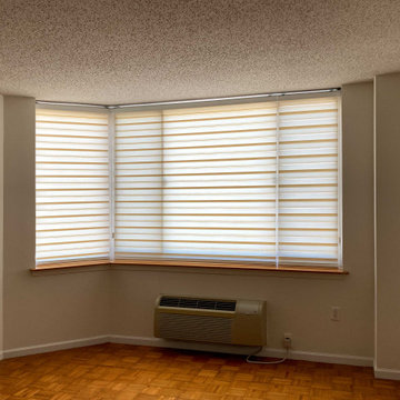 Springblinds Premium Zebra Dual Sheer Shades
