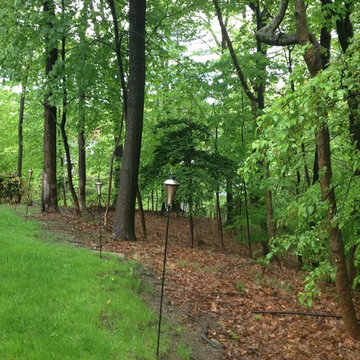 Cedar Stage Treehouse
