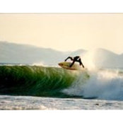 Dave Leeさんの写真