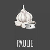 Paul Schmidts foto