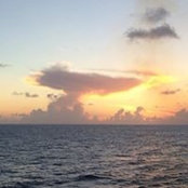 Sasha Lindhorst's photo