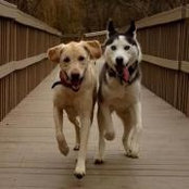 Devin Lynch's photo