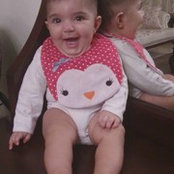 13591357s foto