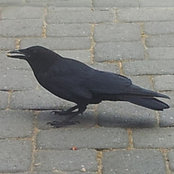 Foto von Mary E