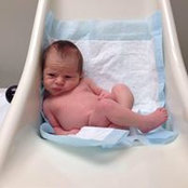 Joe Del Priore's photo