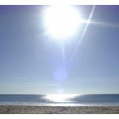 Angela Broad's photo
