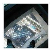 Robert Philips's photo