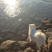 Foto von Maggie Mak