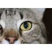 Leslie Finnearty's photo