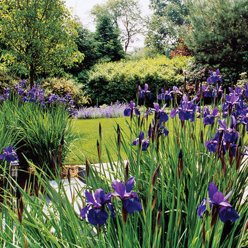 Backyard Landscape