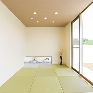 Esempio di un soggiorno moderno con pareti bianche, pavimento in tatami, nessun camino, nessuna TV e pavimento verde