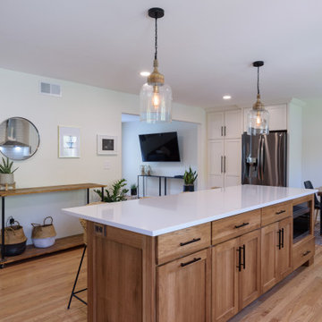 Whole House Remodel