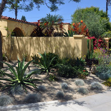 Landscape Ideas