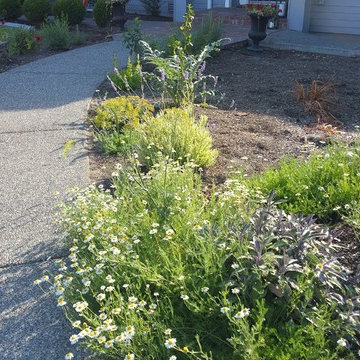 Edible Front Yard