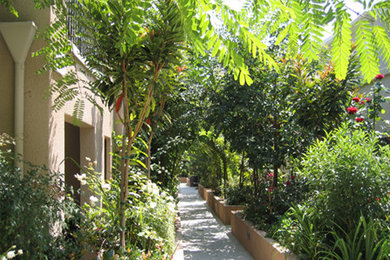 Imagen de camino de jardín tradicional grande en patio lateral con jardín francés y adoquines de hormigón