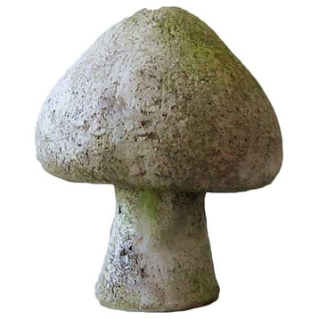 Wild Mushroom 8, Display