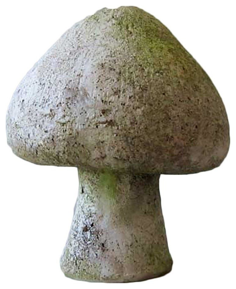 Wild Mushroom 8, Display
