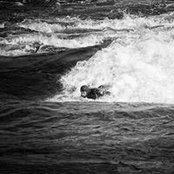 Chris Martindale's photo