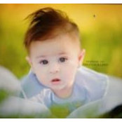 Lynette LaCombe's photo