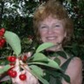Ann Gourley's photo