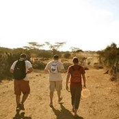 Joe Bergeron's photo