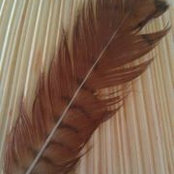 Susan Gardner's photo