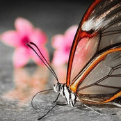 Mai Yang's photo